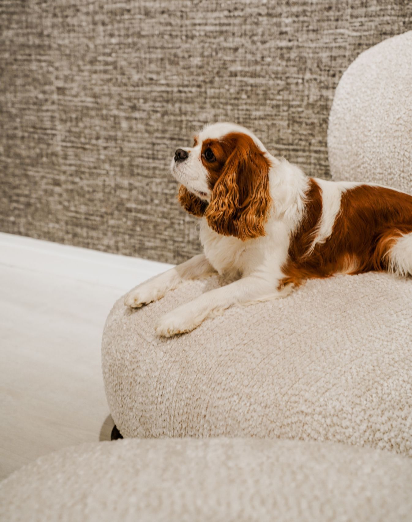 tkaniny_strefa_wiedzy_6